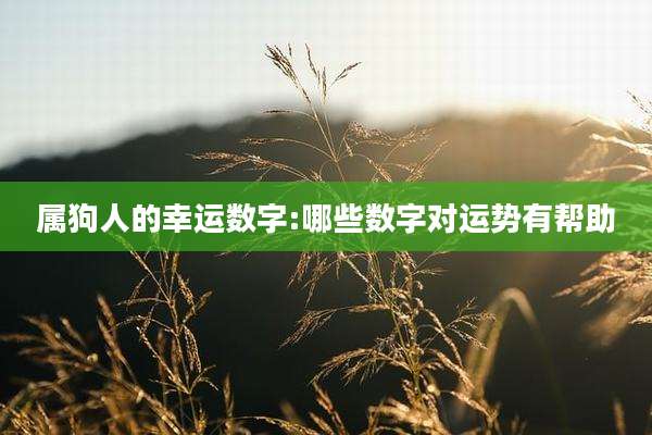 属狗人的幸运数字:哪些数字对运势有帮助