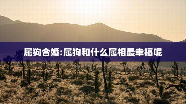 属狗合婚:属狗和什么属相最幸福呢