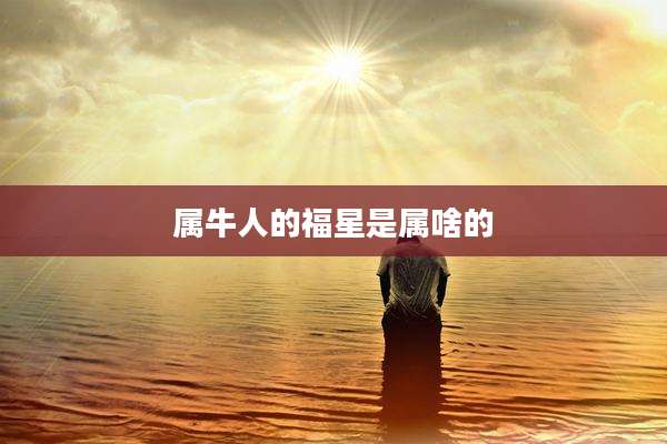 属牛人的福星是属啥的