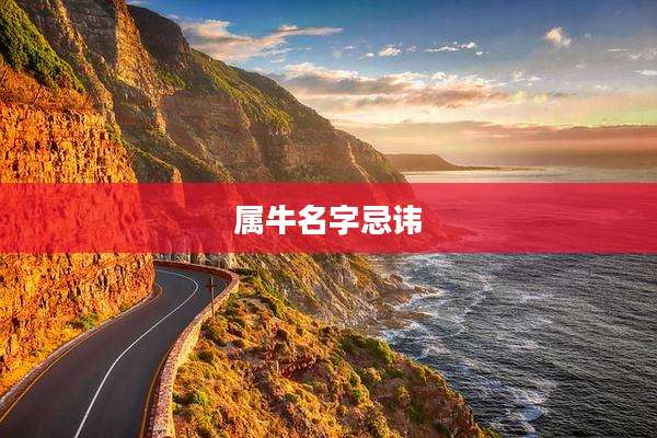 属牛名字忌讳