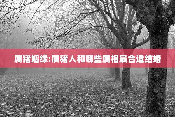 属猪姻缘:属猪人和哪些属相最合适结婚