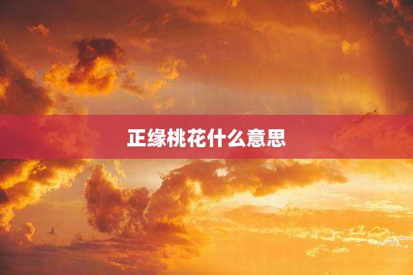 正缘桃花什么意思