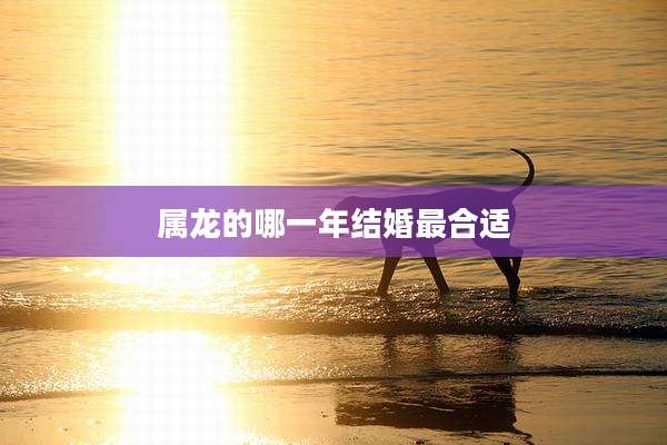 属龙的哪一年结婚最合适