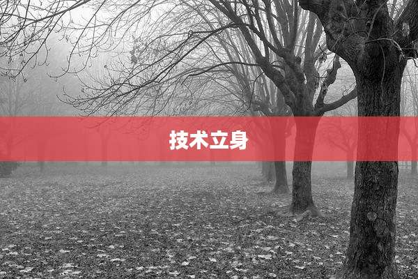 技术立身
