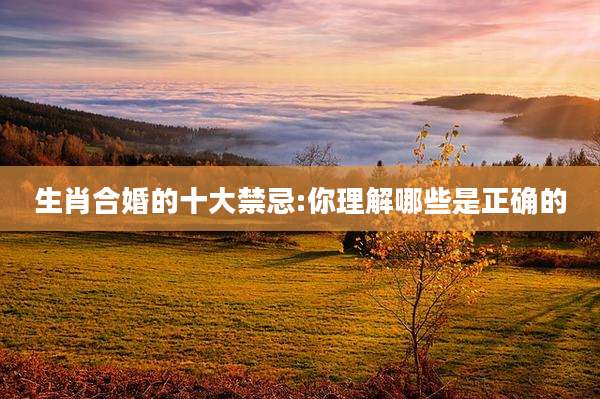 生肖合婚的十大禁忌:你理解哪些是正确的