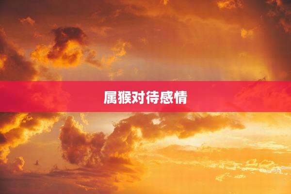 属猴对待感情