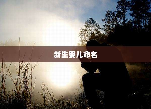 新生婴儿命名