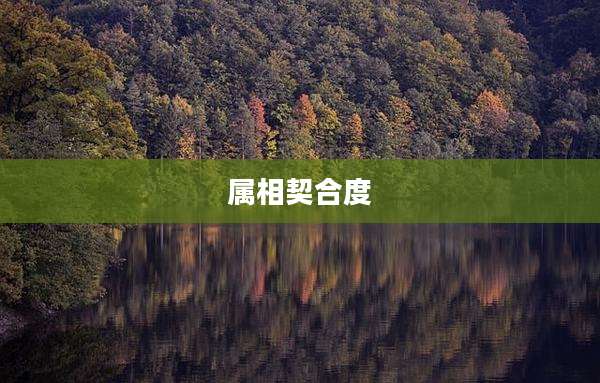 属相契合度
