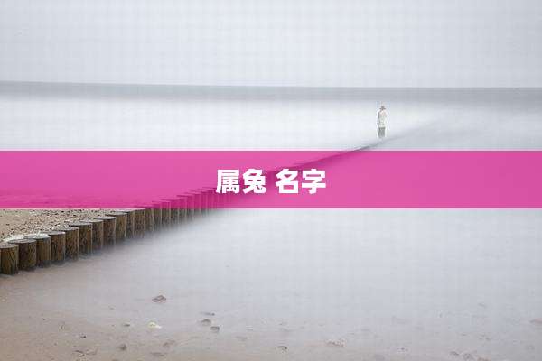 属兔 名字