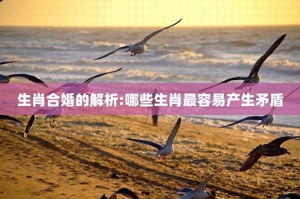 生肖合婚的解析:哪些生肖最容易产生矛盾