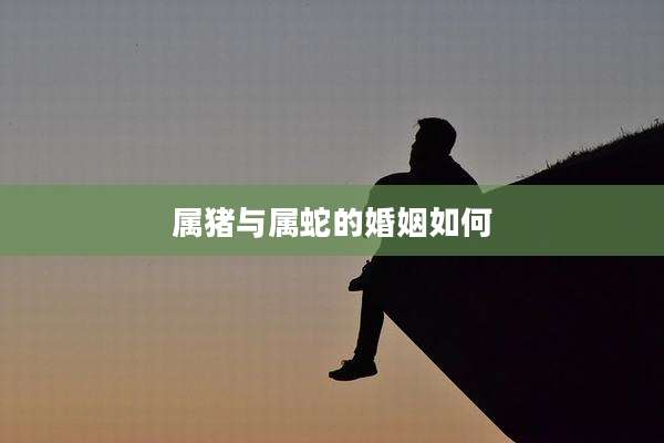 属猪与属蛇的婚姻如何