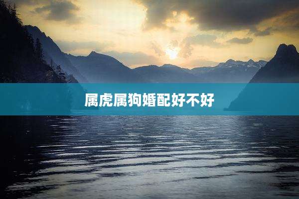 属虎属狗婚配好不好