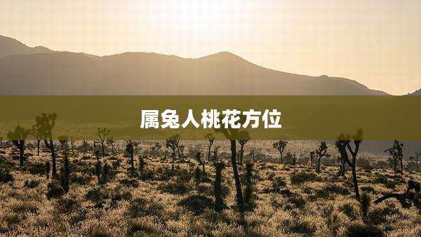 属兔人桃花方位