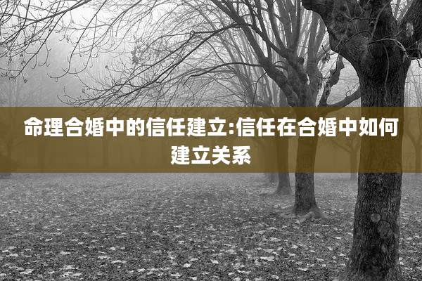 命理合婚中的信任建立:信任在合婚中如何建立关系