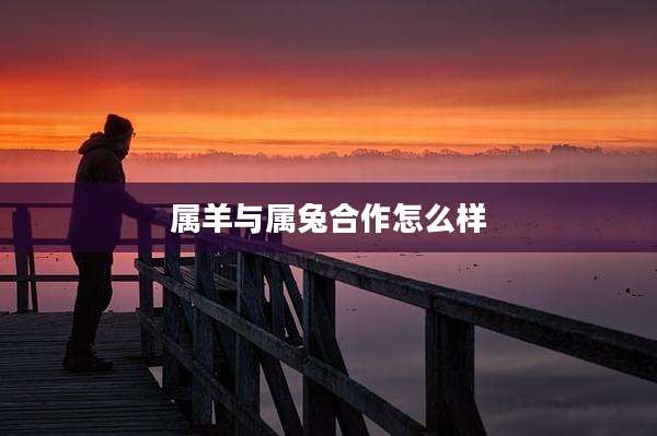 属羊与属兔合作怎么样