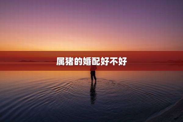 属猪的婚配好不好