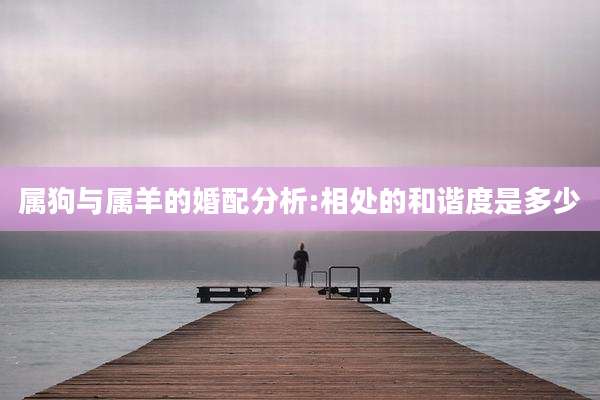 属狗与属羊的婚配分析:相处的和谐度是多少