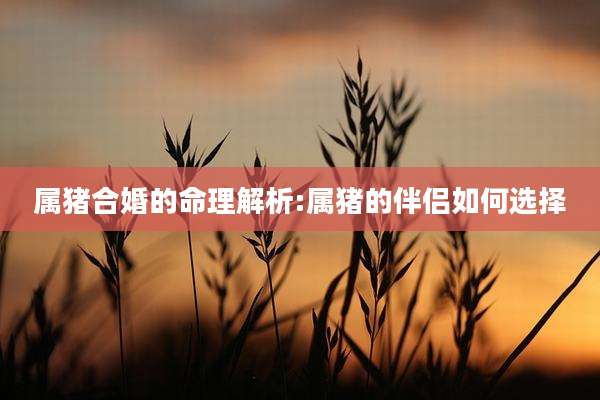 属猪合婚的命理解析:属猪的伴侣如何选择