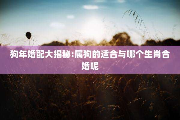 狗年婚配大揭秘:属狗的适合与哪个生肖合婚呢