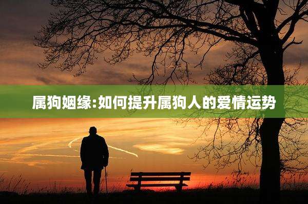 属狗姻缘:如何提升属狗人的爱情运势