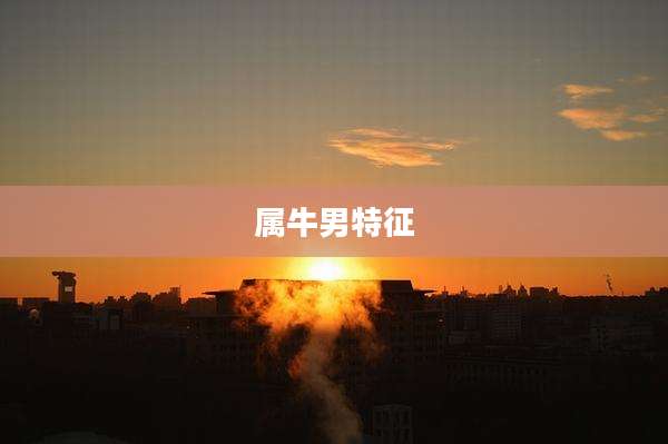 属牛男特征