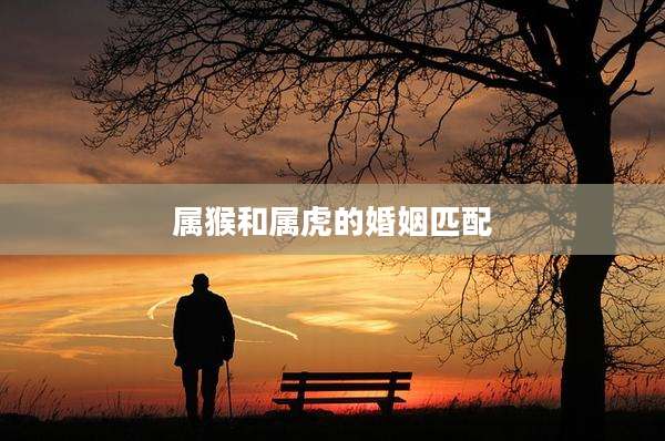 属猴和属虎的婚姻匹配