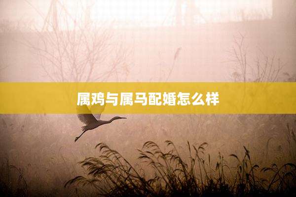 属鸡与属马配婚怎么样