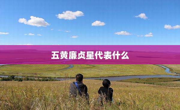 五黄廉贞星代表什么