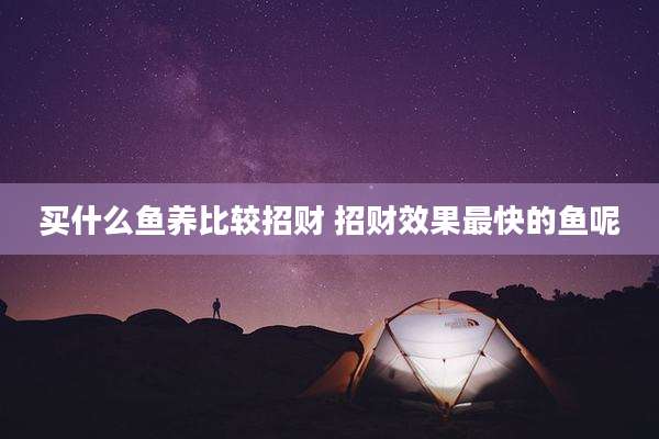 买什么鱼养比较招财 招财效果最快的鱼呢