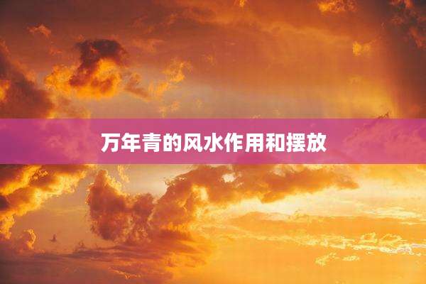 万年青的风水作用和摆放