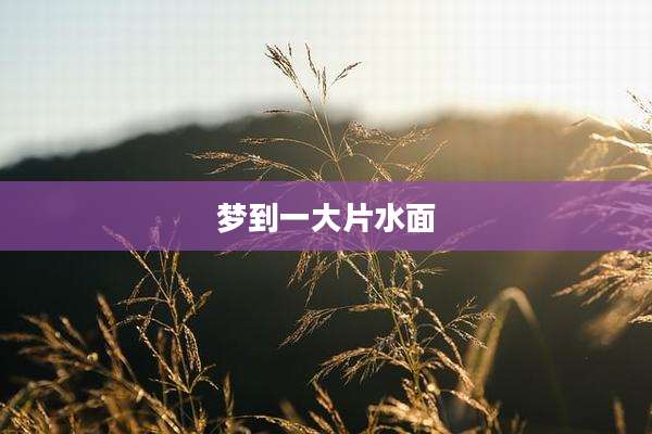 梦到一大片水面