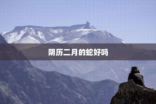 阴历二月的蛇好吗