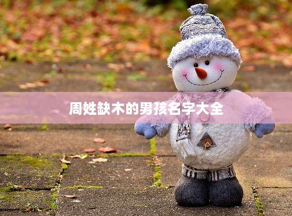 周姓缺木的男孩名字大全