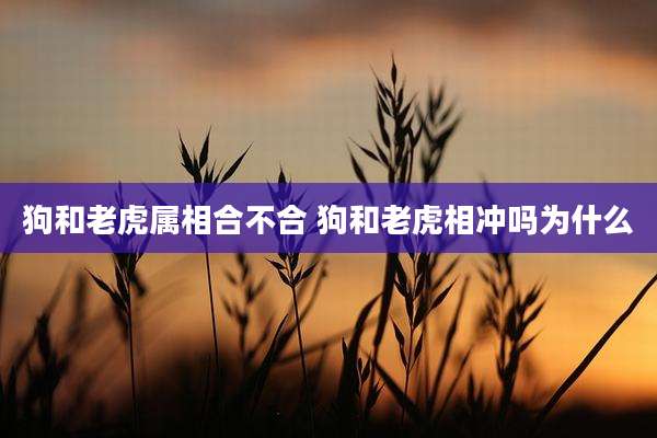 狗和老虎属相合不合 狗和老虎相冲吗为什么