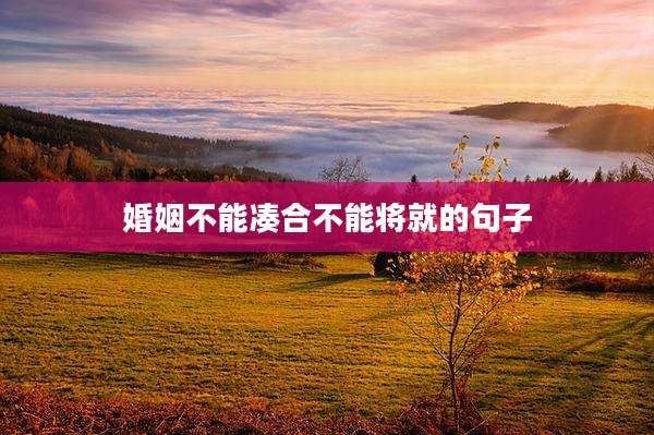 婚姻不能凑合不能将就的句子