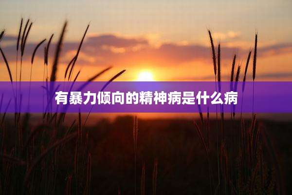 有暴力倾向的精神病是什么病