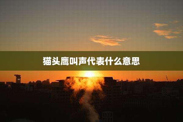 猫头鹰叫声代表什么意思