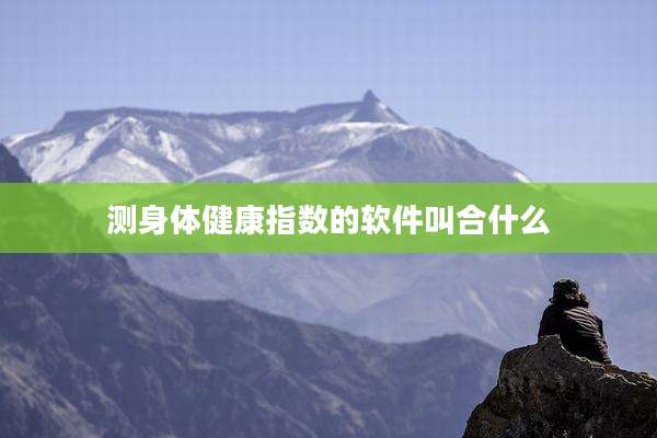 测身体健康指数的软件叫合什么