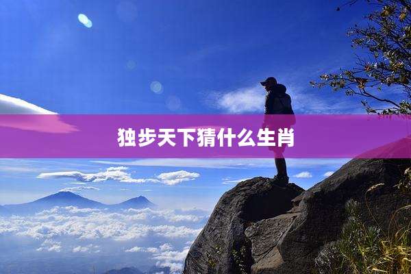 独步天下猜什么生肖
