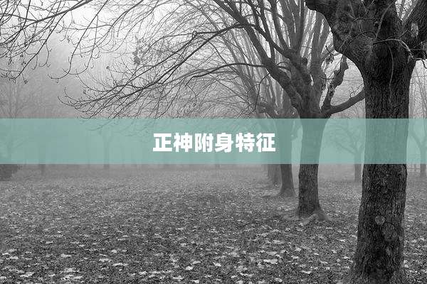 正神附身特征