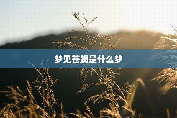 梦见苍蝇是什么梦
