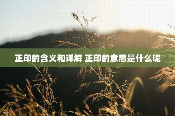 正印的含义和详解 正印的意思是什么呢