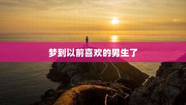 梦到以前喜欢的男生了