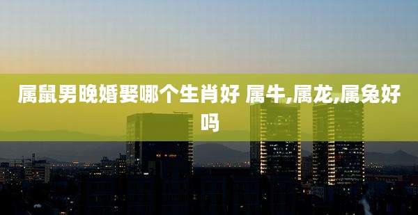 属鼠男晚婚娶哪个生肖好 属牛,属龙,属兔好吗