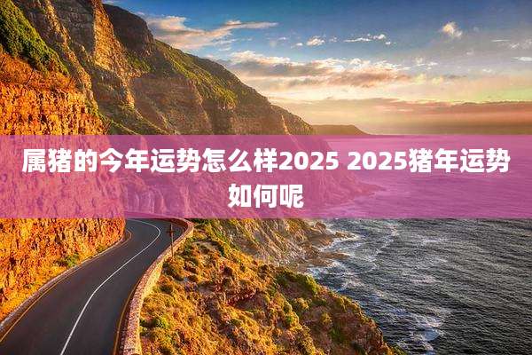 属猪的今年运势怎么样2025 2025猪年运势如何呢