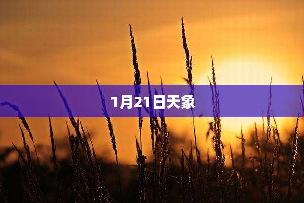 1月21日天象