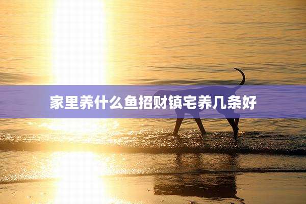 家里养什么鱼招财镇宅养几条好