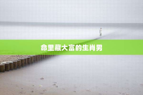 命里藏大富的生肖男