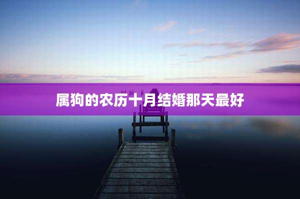 属狗的农历十月结婚那天最好