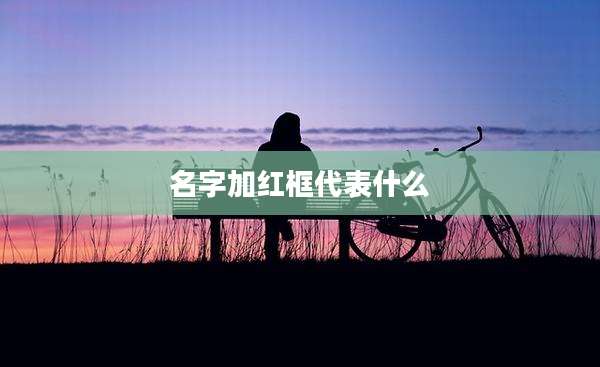 名字加红框代表什么